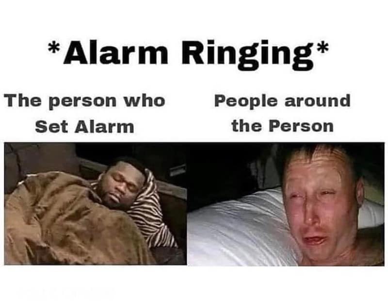sleeping meme, sleep memes, sleepy memes, tired memes, nap memes, yawn memes, tired humor, drowsy memes, bedtime memes, couch nap memes, desk nap memes, animal sleeping memes, insomnia memes, dream memes, lazy day memes, weekend nap memes, bedtime routine memes, coffee vs sleep memes, afternoon slump memes, pillow memes