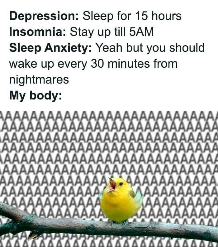 Depression: Sleep for 15 hours Insomnia: Stay up till 5AM Sleep Anxiety: Yeah but you should wake up every 30 minutes from nightmares My body: