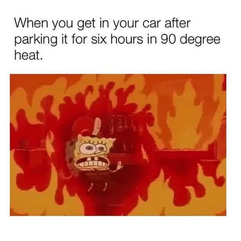 summer memes, humidity memes, heat wave memes, hot weather memes, beach memes, pool day memes, sunburn memes, dog days memes, AC meme, ice cream memes, sweltering memes, sweat memes, air conditioning memes, sun hat memes, summer style memes, summer survival memes, outdoor memes, sunstroke memes, sprinkler memes, lemonade memes