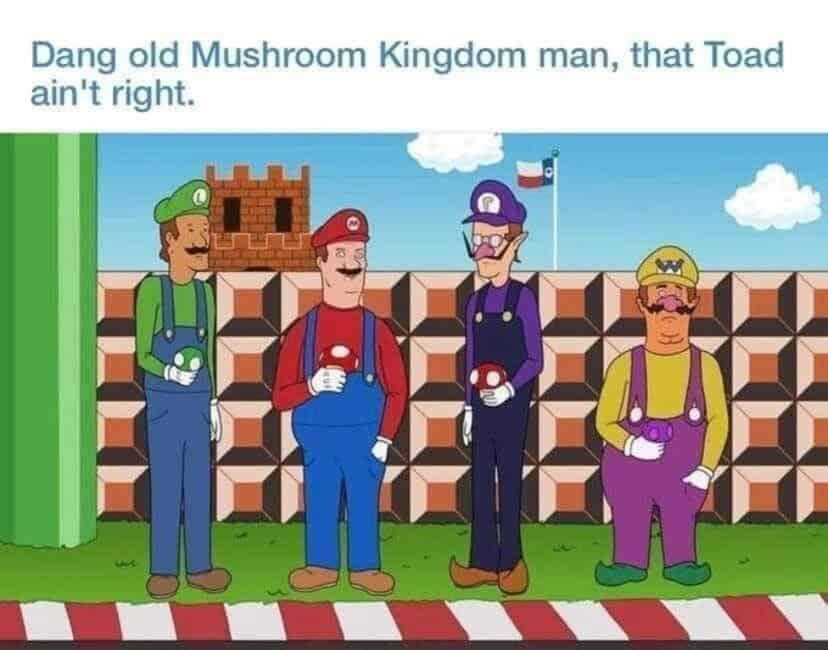 Dang old Mushroom Kingdom man, that Toad ain't right.