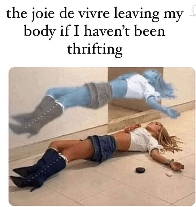 thrift store memes, thrifting memes, funny thrifting memes, vintage finds, thrift shopping, secondhand shopping, thrift humor, antique bins, funny thrift store pictures, meme dump, hilarious memes, vintage shopping, thrift store treasures, thrift fails, funny antique memes, vintage memes, thrifting tips, treasure hunting, retro finds, thrift adventures