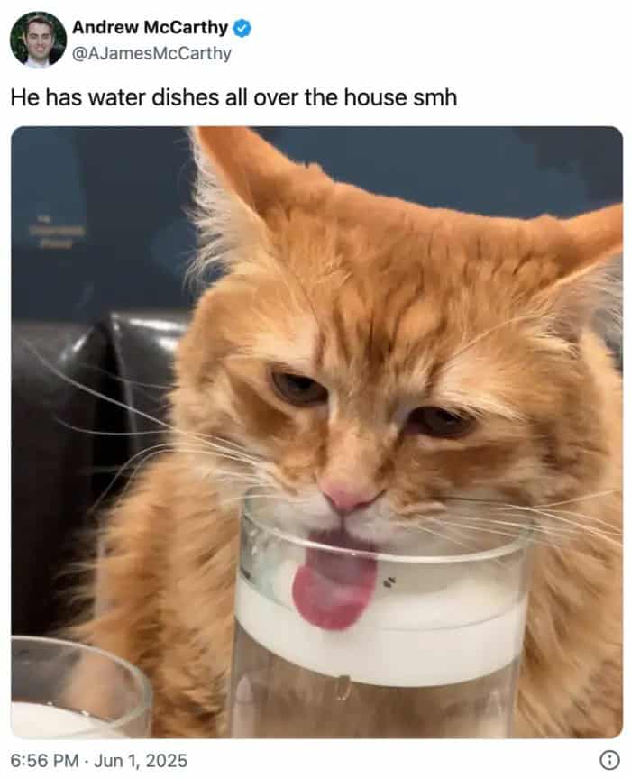 wholesome memes, heartwarming memes, uplifting memes, positivity memes, feel-good memes, encouraging images, good vibes, feel-good vibes, heartwarming posts, comforting humor, sunday scaries, weekend dread, back-to-work blues