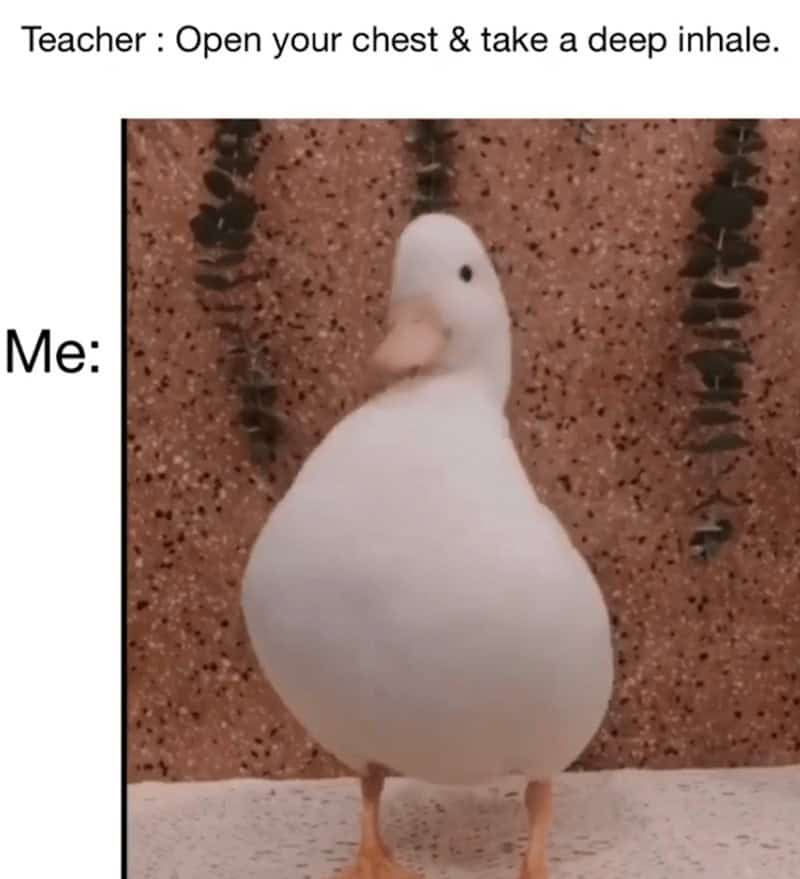 yoga memes, funny yoga memes, yoga poses, yoga humor, yoga fails, yoga pants, yoga enthusiasts, yoga class memes, yoga jokes, fitness memes, meme compilation