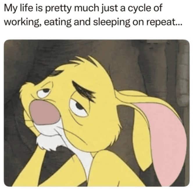 Rabbit from Winnie the Pooh staring tiredly, caption about life being work-eat-sleep on repeat.
