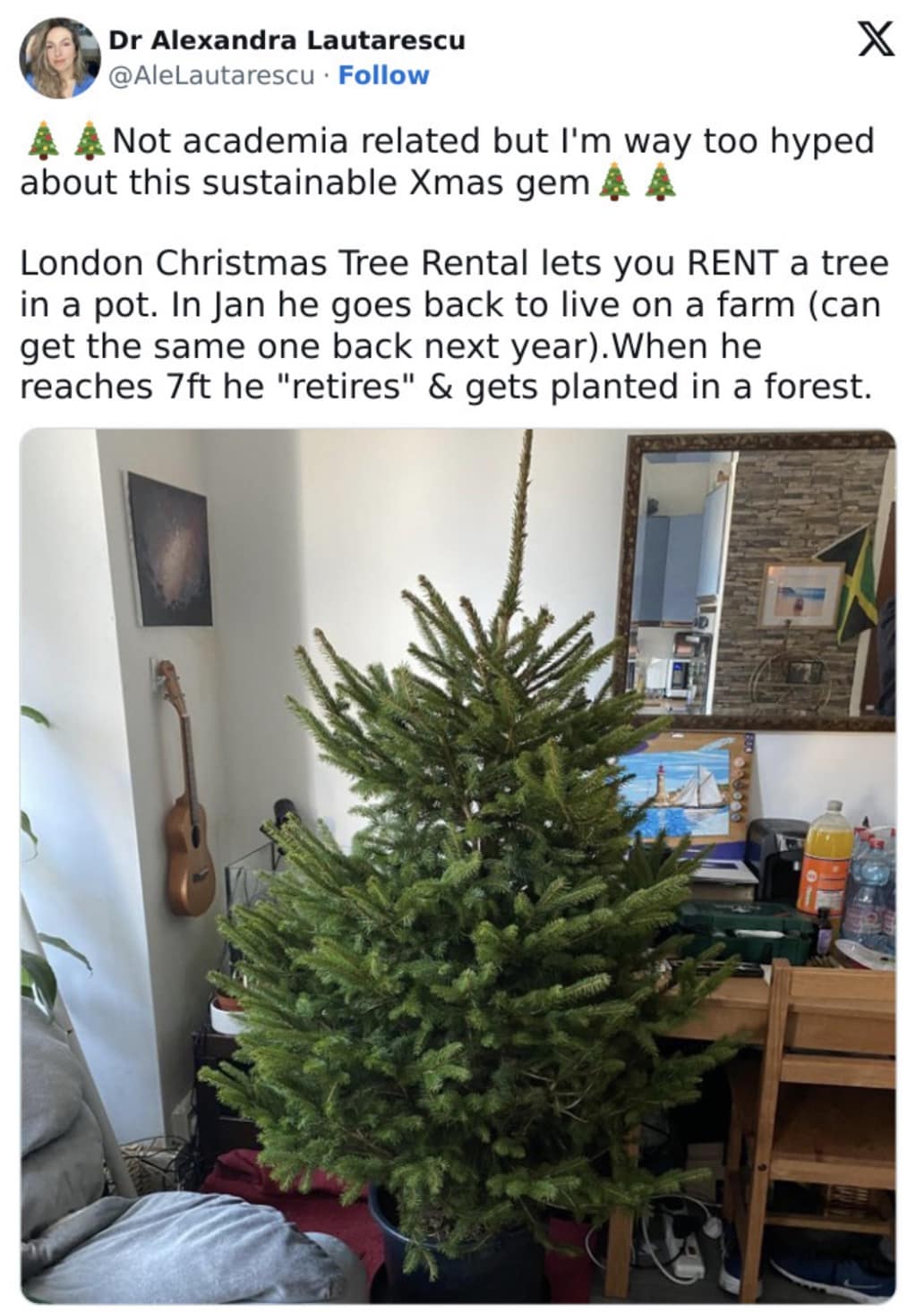 An anti consumption meme celebrating a sustainable Christmas tree rental service.