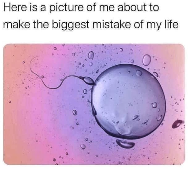 Macro of sperm swimming toward egg cell on pastel background.