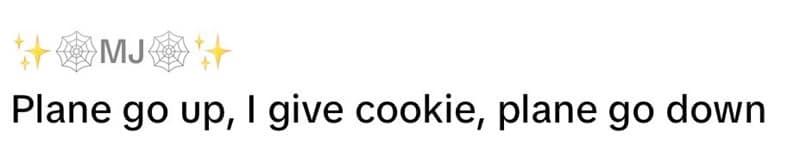 Text from a popular meme that badly explains the job of a flight attendant.