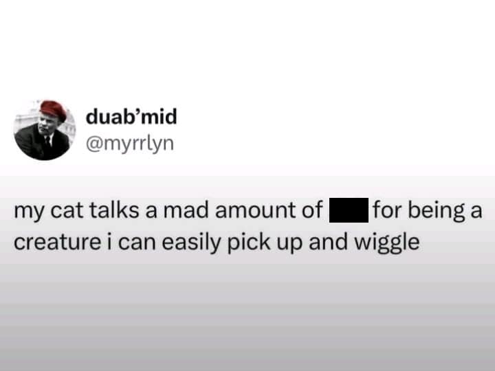 Tweet joking that a mouthy cat forgets it can be easily picked up and wiggled.