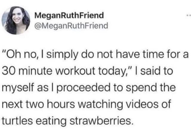 Tweet from @MeganRuthFriend about skipping a workout only to spend two hours watching turtles eat strawberries.