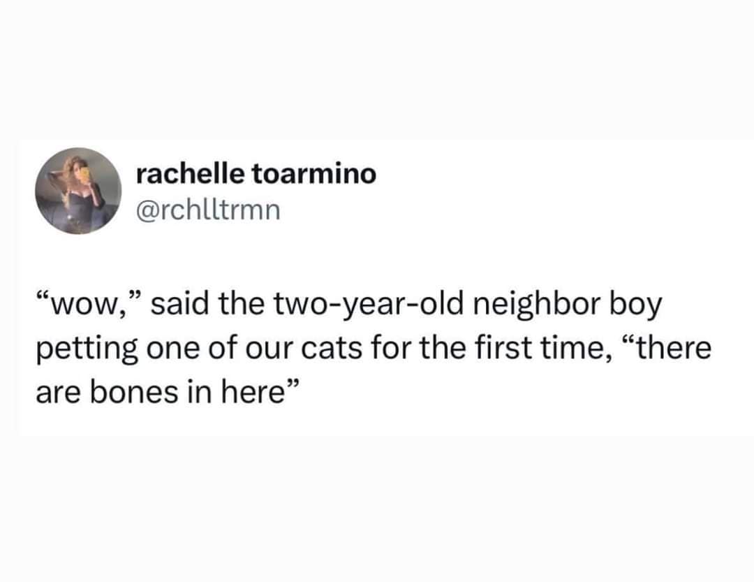 Classic meme tweet: a two-year-old pets a cat for the first time and says, “there are bones in here.”