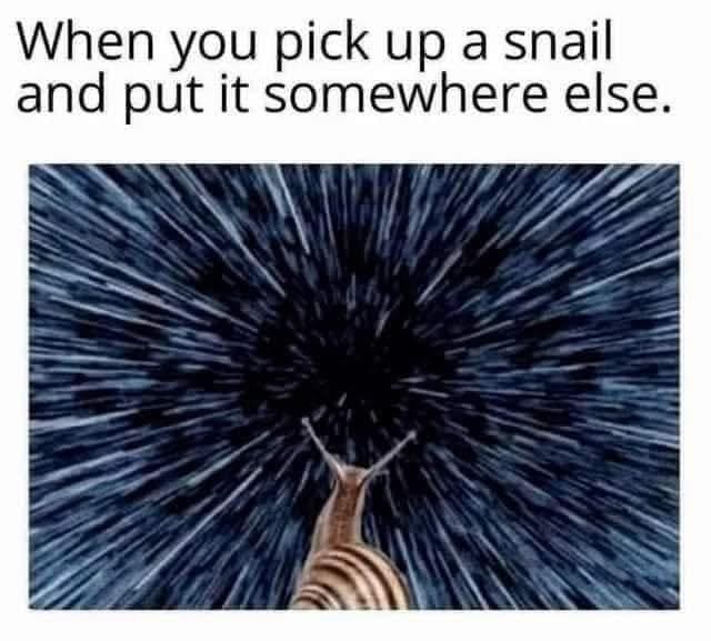 Meme text reads “When you pick up a snail and put it somewhere else,” above a snail zooming through a star-streak warp tunnel like hyperspace.