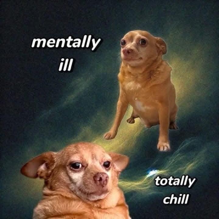 Classic meme showing anxious and relaxed chihuahua labeled mentally ill and totally chill on cosmic backdrop.