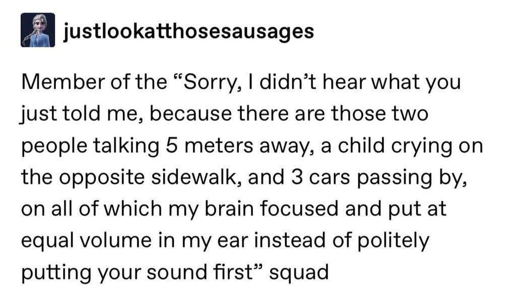 Tumblr-style text post about not hearing someone because the brain boosts every background noise equally.