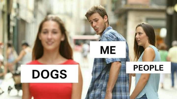 Distracted boyfriend meme with "Me" turning toward "Dogs" while "People" looks angry.