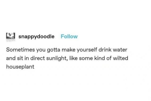 Post advises: sometimes you must drink water and sit in direct sunlight like a wilted houseplant.