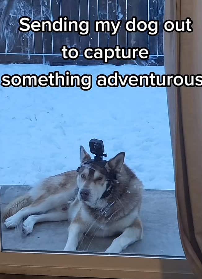 A nine-year-old lovingly tucks in her Pokémon cards—equal parts adorable and surreal.