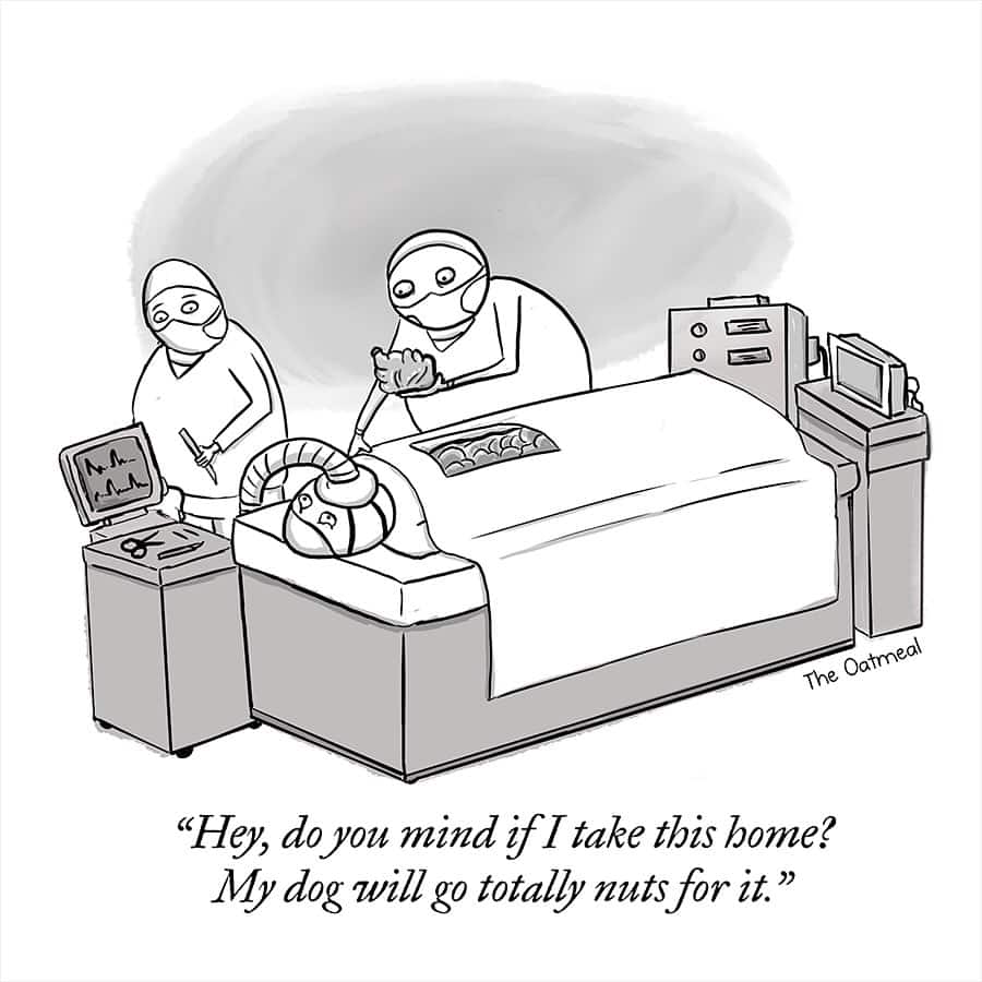 Hospital gag in dark humor comics where a surgeon asks to take a removed organ home because the dog will love it.