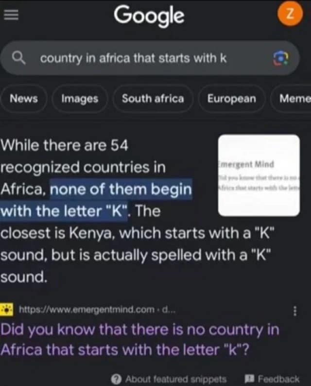 A dark meme showing a hilariously broken AI answer from a Google search about countries in Africa.