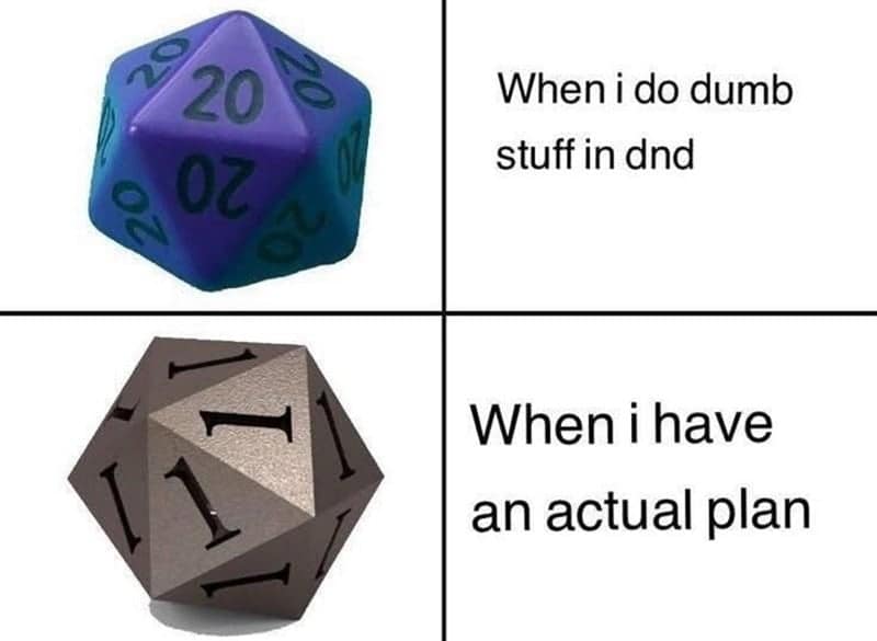 Two d20s: natural 20 labeled “when I do dumb stuff,” and a die full of 1s labeled “when I have a plan.”