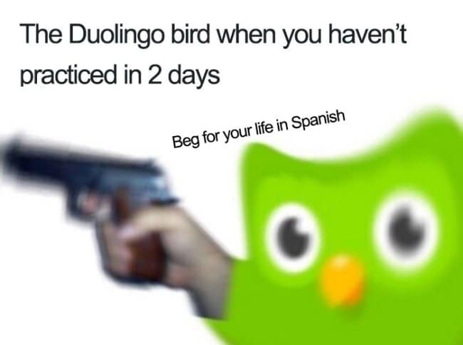 Blurry close-up of the Duolingo owl beside a hand holding a toy gun; caption: “Beg for your life in Spanish.”