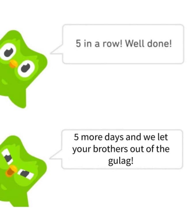 Two Duolingo chat bubbles: “5 in a row! Well done!” and “5 more days and we let your brothers out of the gulag!”