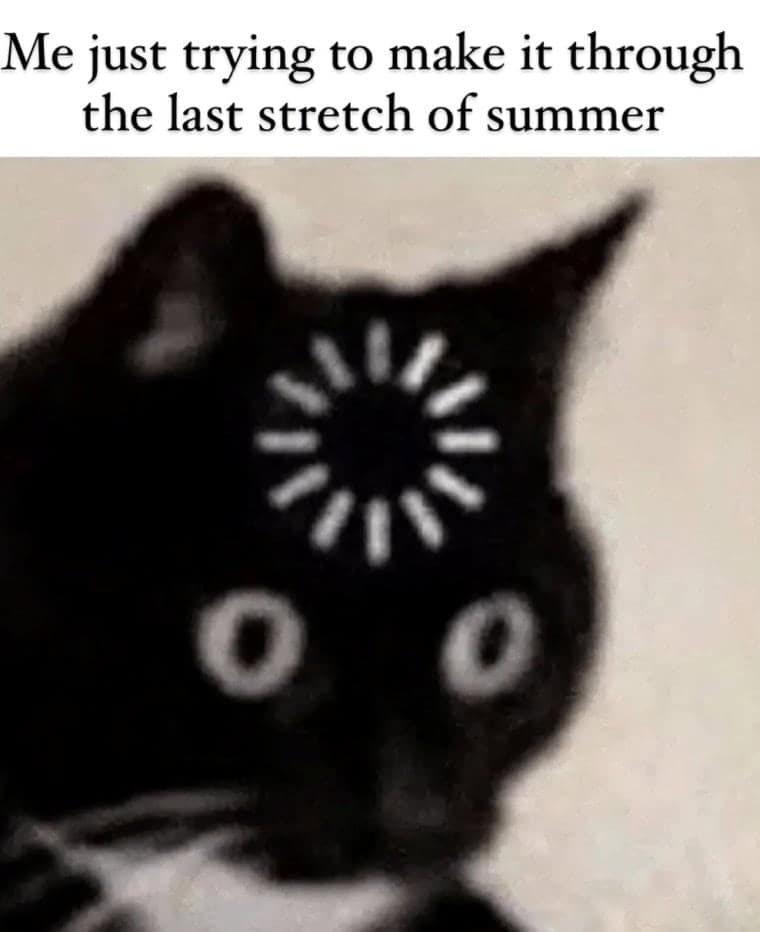 A funny autumn meme with a stressed cat that is struggling to get through the end of summer.