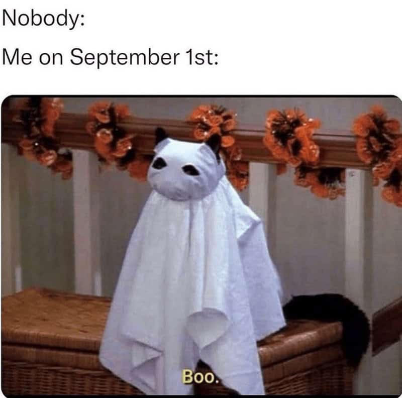 A funny autumn meme with Salem the cat in a ghost costume on September 1st.