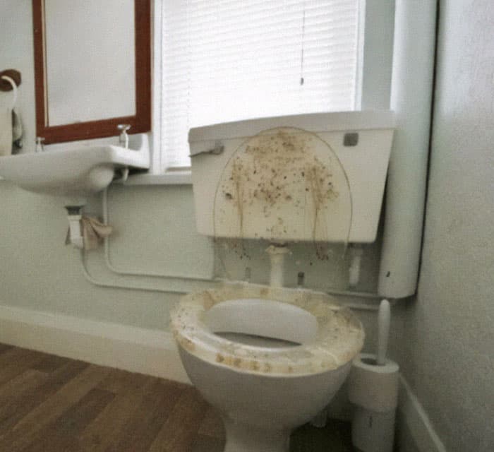 A toilet with a novelty glitter-filled seat that has leaked its brown contents everywhere.
