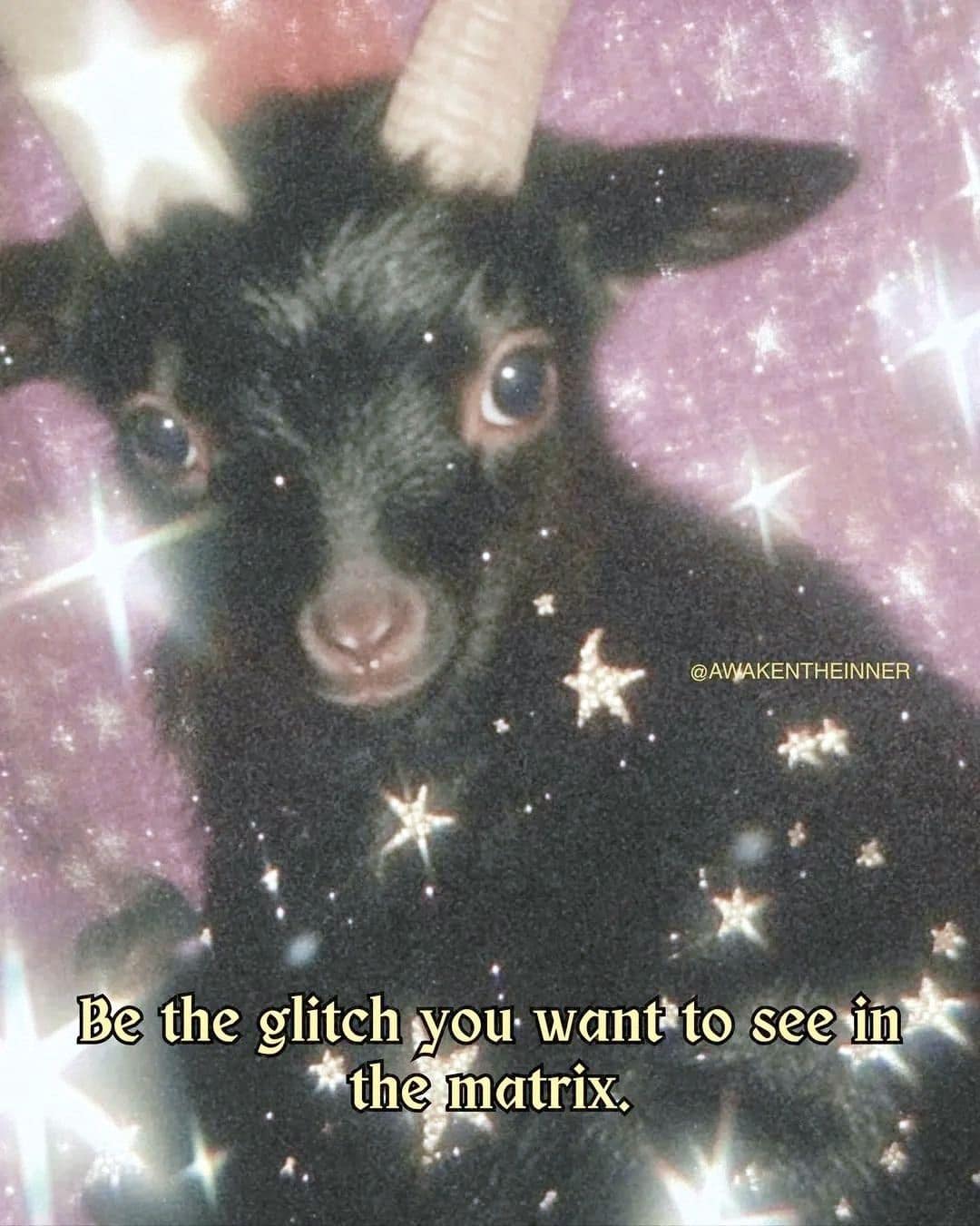 A funny meme of a baby goat with the inspirational quote "be the glitch."