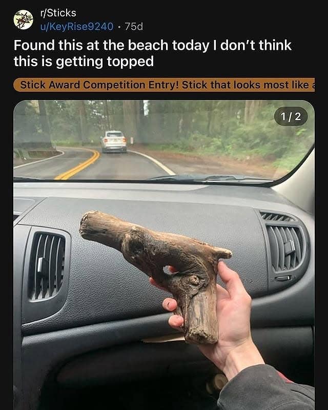 A Reddit post showing a hand holding a piece of driftwood perfectly shaped like a gun.