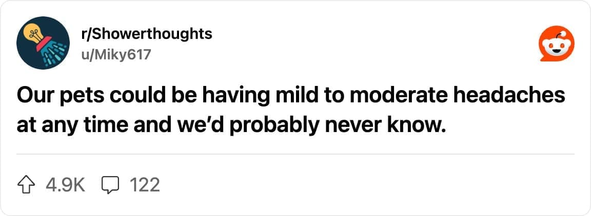 Reddit post from r/Showerthoughts: “Our pets could be having mild to moderate headaches at any time and we’d probably never know.”