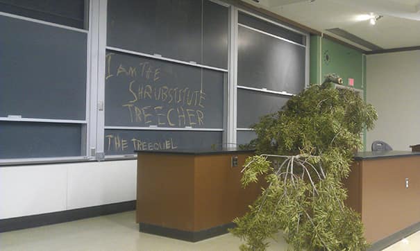 Classroom podium covered by a giant branch; chalkboard reads “I am the shrubstitute treecher.”