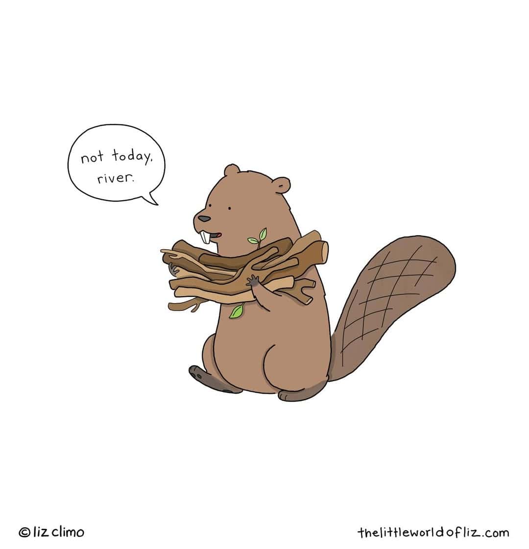 A funny Liz Climo comic of a determined beaver telling a river "not today."