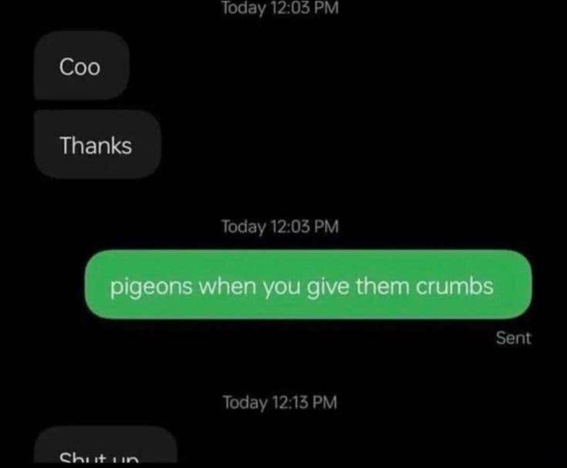 Screenshot of a text exchange where someone says “Coo” and “Thanks,” and the reply says “pigeons when you give them crumbs.”