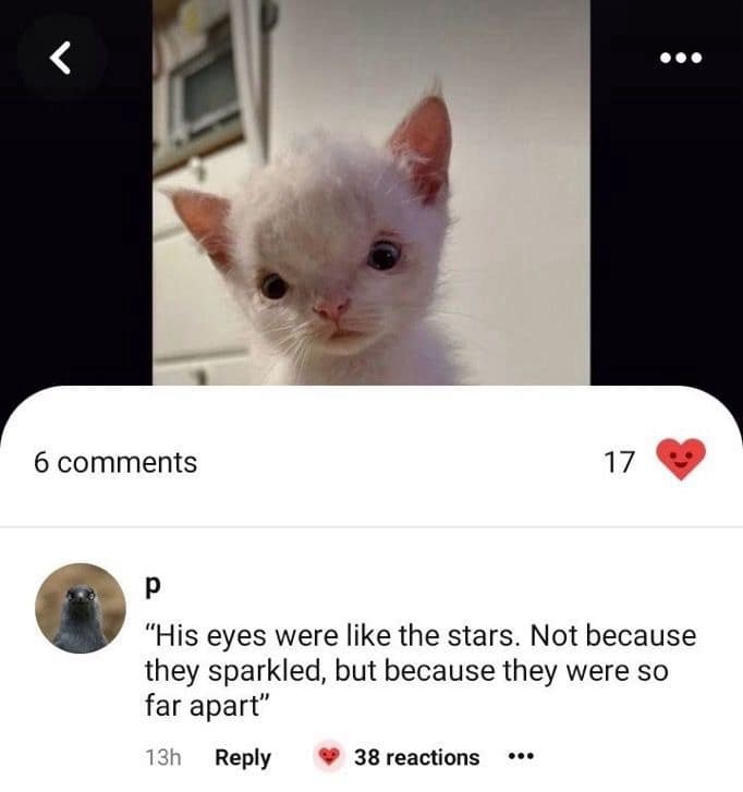 dank memes, viral memes, trending memes, meme collection, meme gallery, meme batch, group chat memes, internet humor, meme treasures, random memes, viral fails, meme picks, office memes, lunch break, meme roundup, meme therapy, daily memes, best memes, dank memes, internet memes