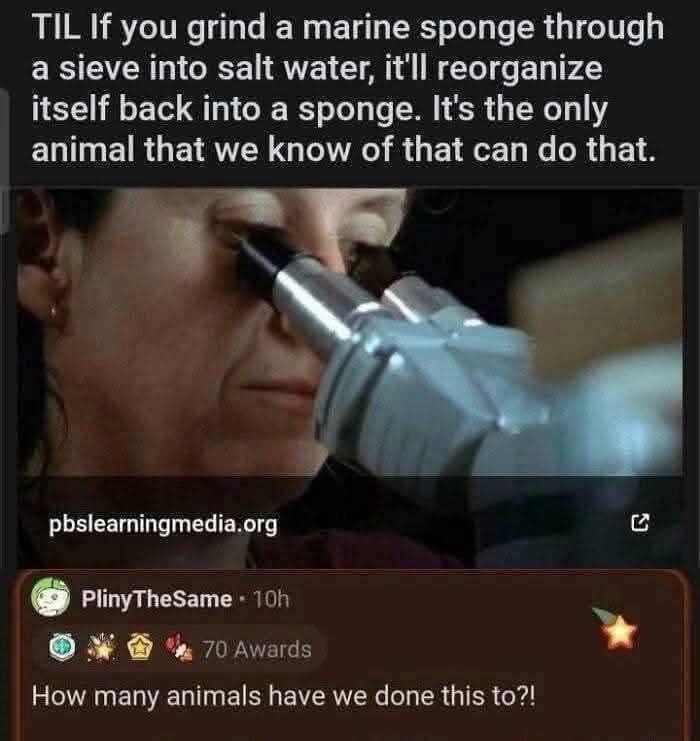 dank memes, viral memes, trending memes, meme collection, meme gallery, meme batch, group chat memes, internet humor, meme treasures, random memes, viral fails, meme picks, office memes, lunch break, meme roundup, meme therapy, daily memes, best memes, dank memes, internet memes