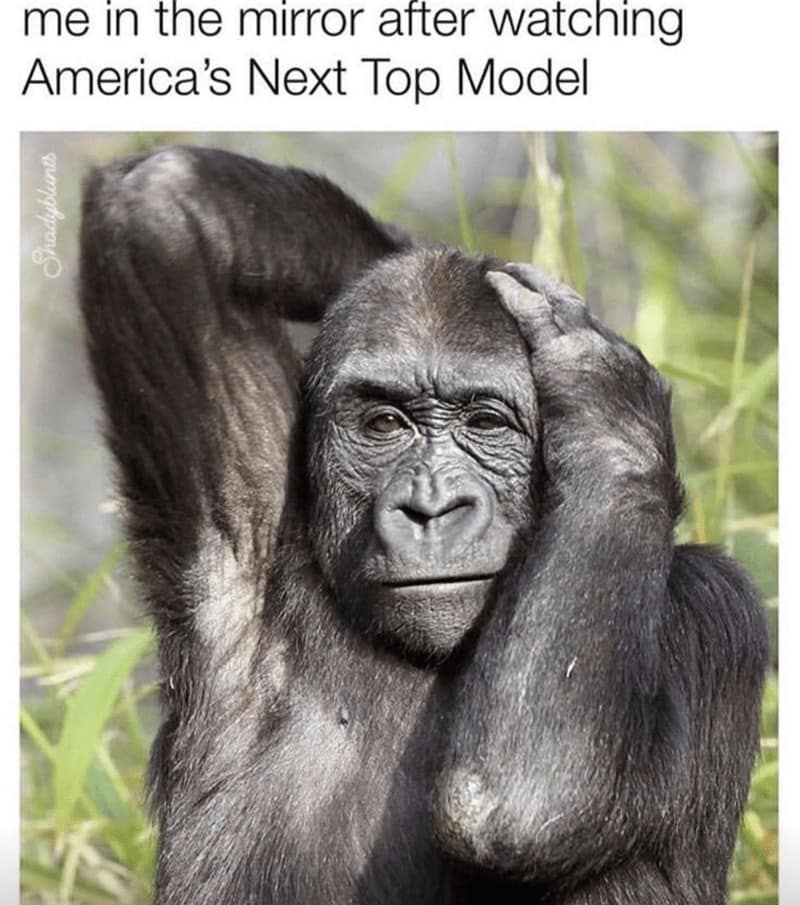 A funny meme of a gorilla posing, relating it to watching America's Next Top Model.