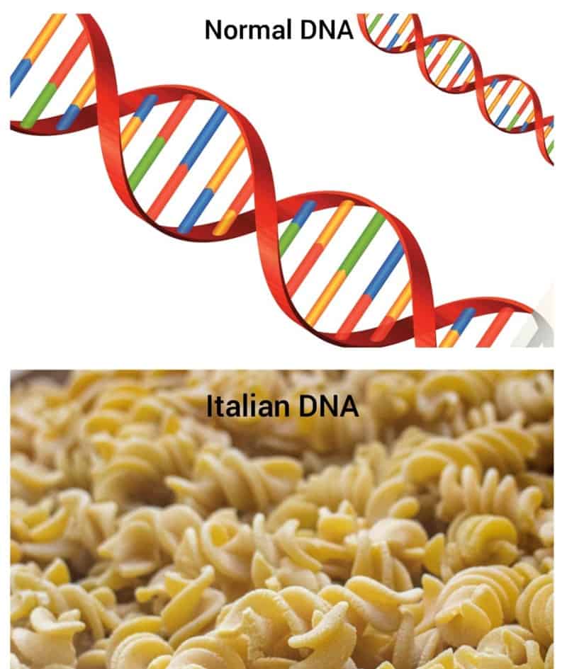 A funny pasta meme comparing a strand of DNA to a pile of rotini pasta for Italians.