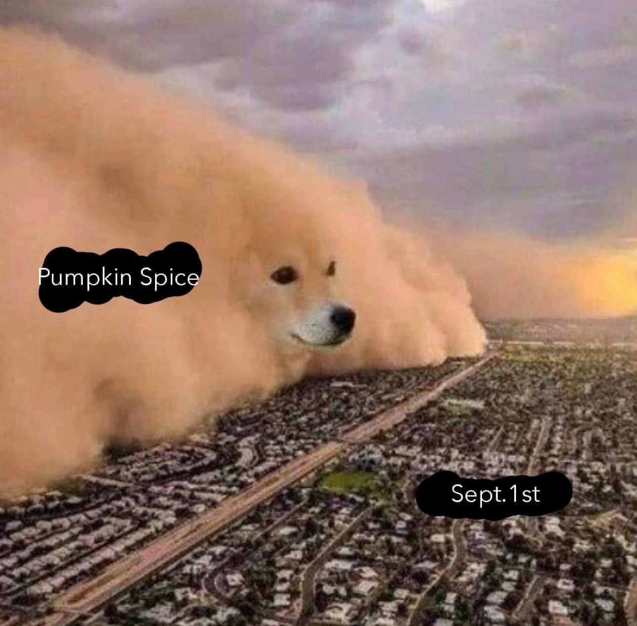 Massive sandstorm shaped like a Shiba Inu sweeps over a city, labeled “Pumpkin Spice,” with “Sept. 1st” on the horizon.
