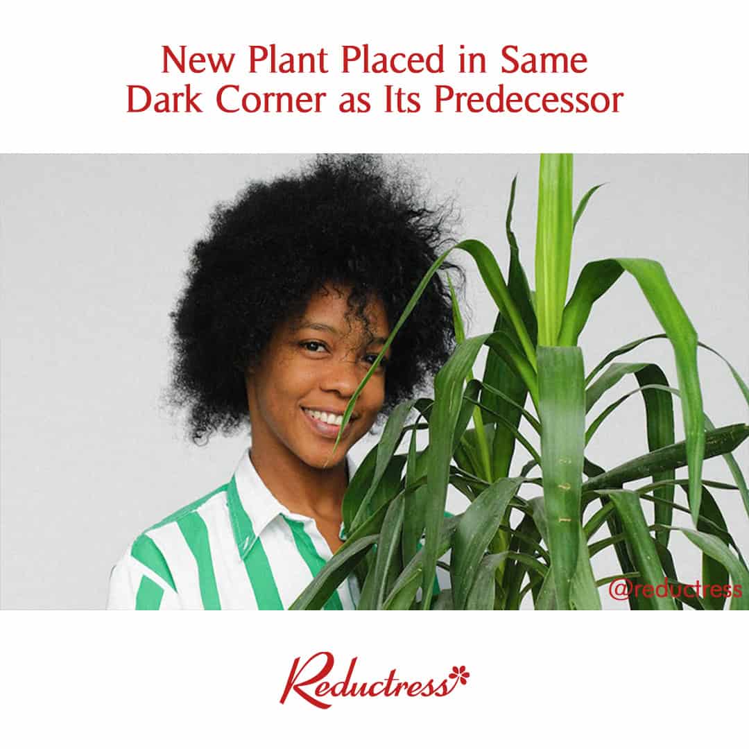 Woman smiling while holding a large leafy houseplant, with the headline "New Plant Placed in Same Dark Corner as Its Predecessor."