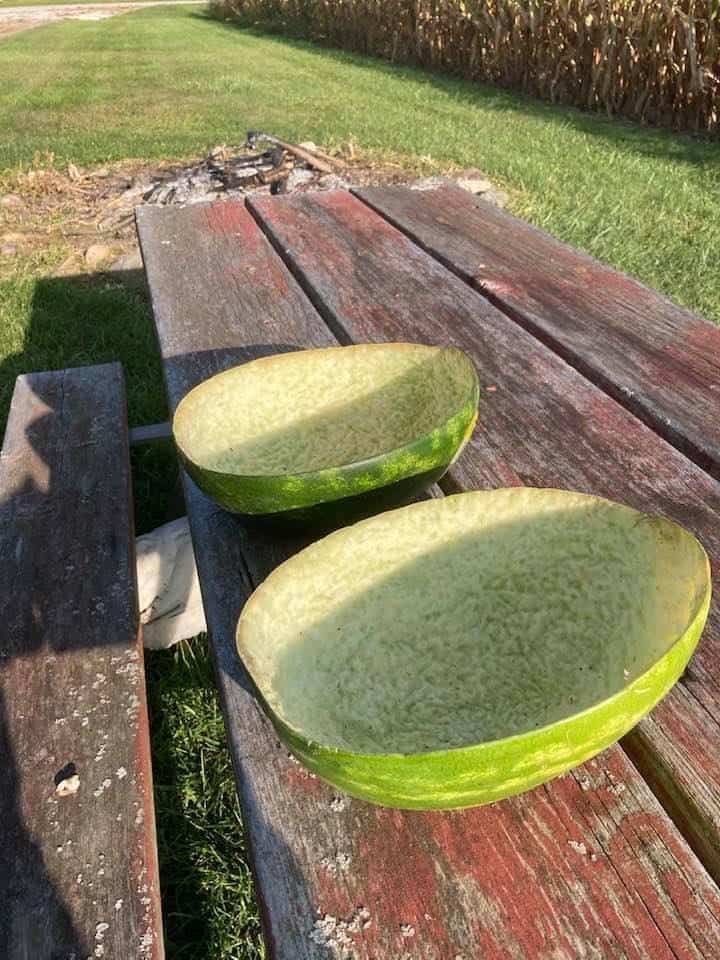 Two watermelon rinds scraped spotless on a weathered picnic table