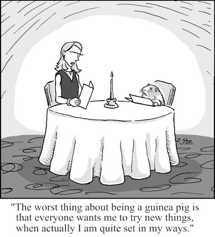 Candlelit restaurant date with a guinea pig reading a menu; caption: “The worst thing about being a guinea pig is everyone wants me to try new things…”