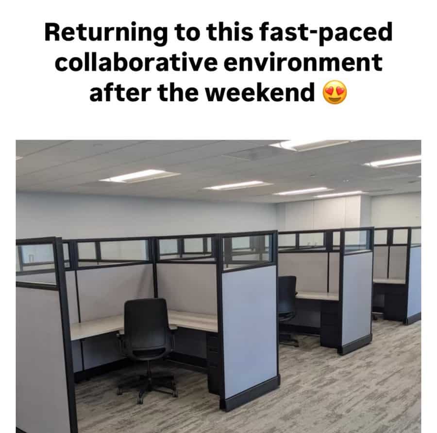 Empty cubicles meme captioned collaborative environment