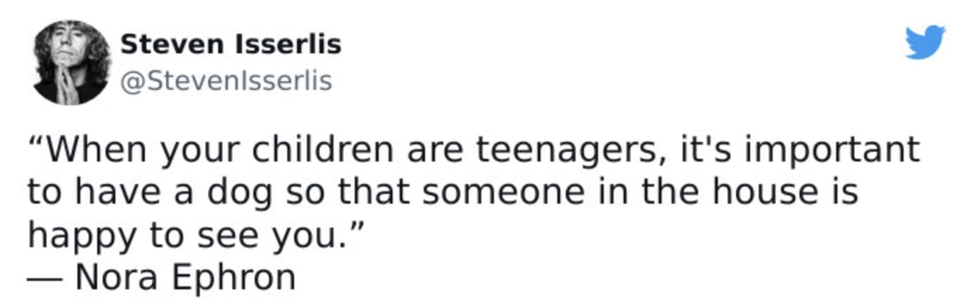Tweet from Steven Isserlis quoting Nora Ephron, reflecting the emotional vacuum many parents feel during the teenage years — a classic teenager meme sentiment.