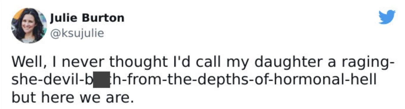 Sarcastic tweet from a mom who labels her daughter with a string of dramatic insults, exaggerating the hormonal chaos that defines many teenager memes.