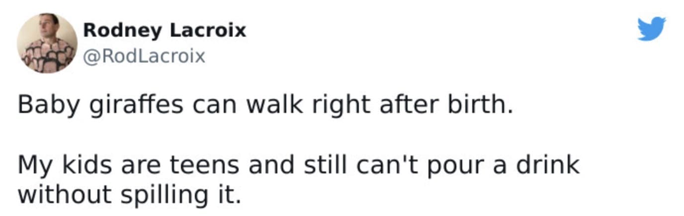 A humorous comparison in a teenager meme between newborn giraffes walking and clumsy teens spilling drinks.