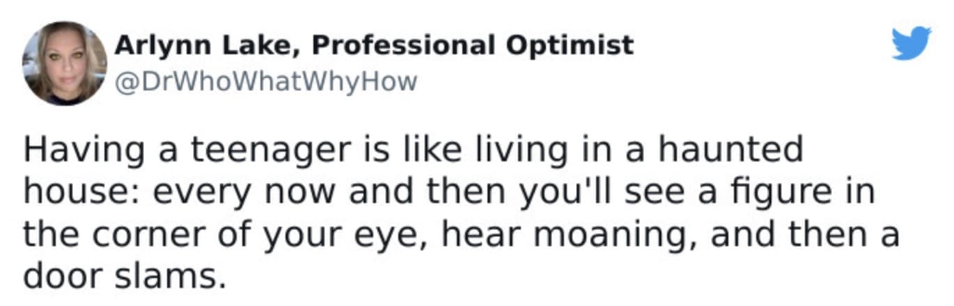 Clever teenager meme likening raising a teen to living in a haunted house, where sightings are rare and eerie sounds are frequent.