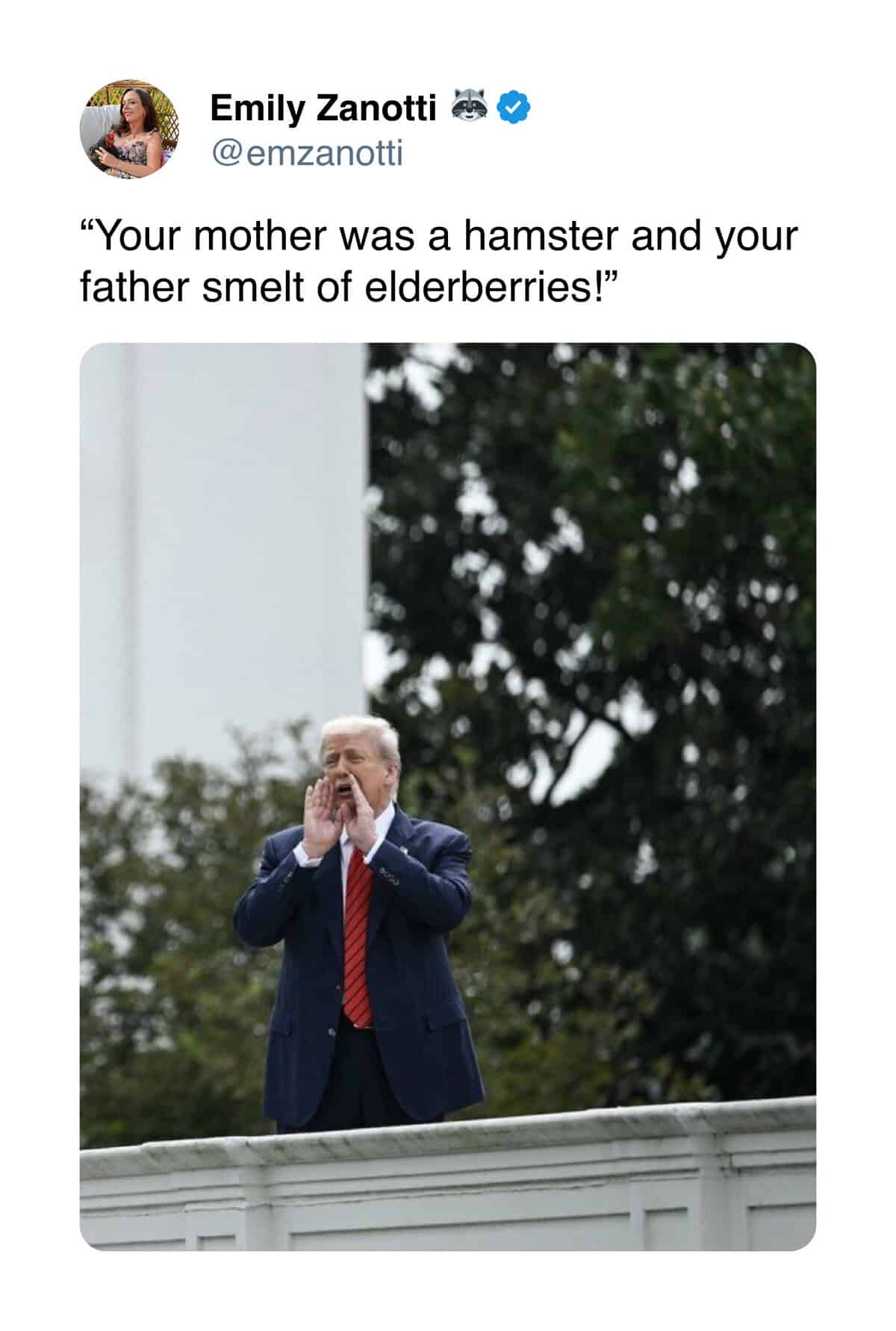 Trump White House roof meme showing a humorous rooftop scene with exaggerated political satire