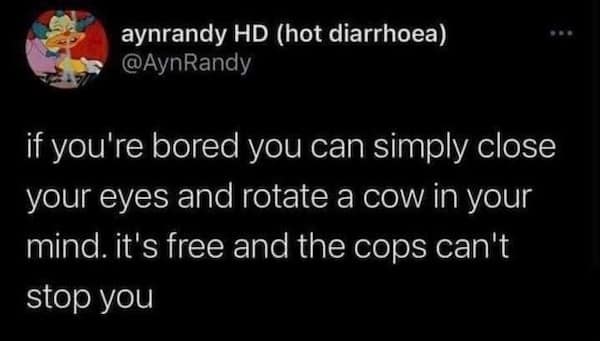 A funny life pro tip from a tweet suggesting you can rotate a cow in your mind.