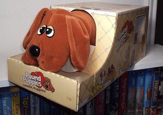 A Pound Puppies stuffed animal with its sad, droopy eyes, a classic 80s toy.